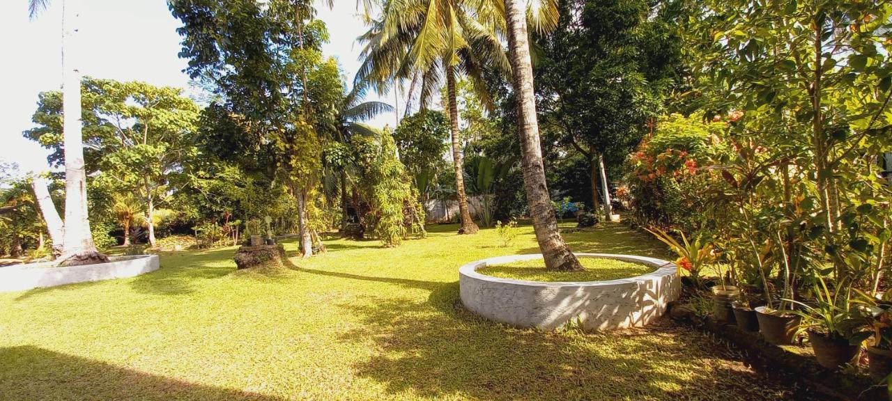 Bat Tree Cottages Agoho Exterior foto
